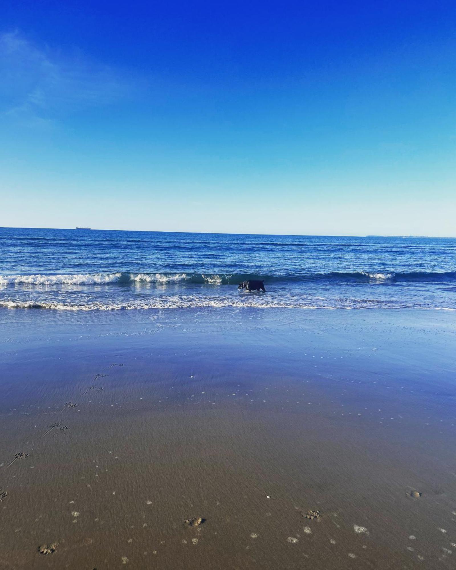 Beach Apartment Папамоа Экстерьер фото